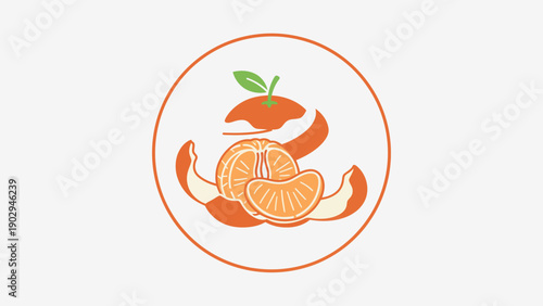 Vibrant illustration of a freshly peeled orange with a visible segment inside a circular frame