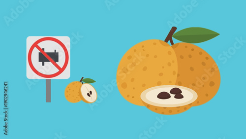 Flat design illustration of tropical longan fruit next to a clear prohibition sign indicating a