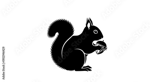 A black silhouette of a squirrel holding a nut on a white background, depicted in a simple graphic style.