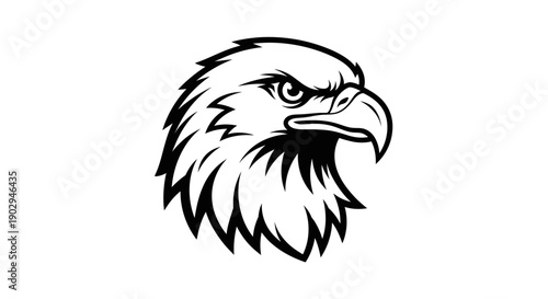 Black and white illustration of a majestic eagle head with a fierce expression.