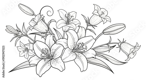 A detailed black and white line drawing of a floral arrangement featuring lilies and bellflowers.