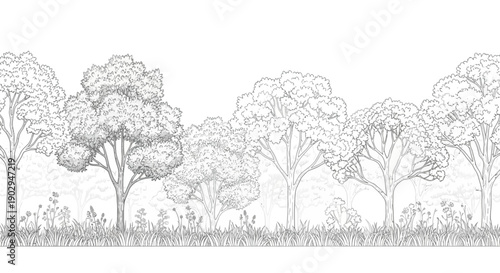 A detailed, hand-drawn illustration of a forest landscape with lush trees and grass.