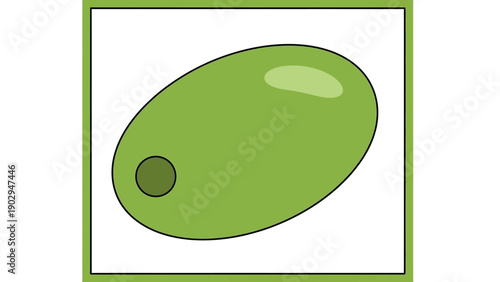 Simple illustration of a fresh green olive with a pit inside perfect for various design projects