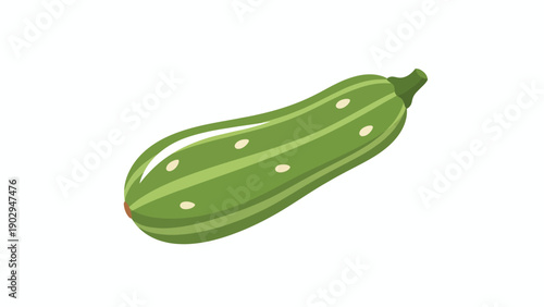 Vibrant Flat Illustration of a Fresh Green Zucchini Vegetable Healthy and Natural Produce Isolated