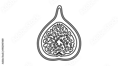 Minimalist black and white outline drawing of a halved fig showing its intricate interior with seeds