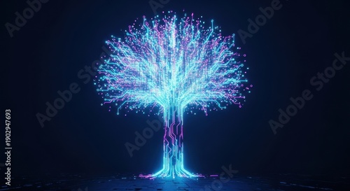 fireworks in the night sky