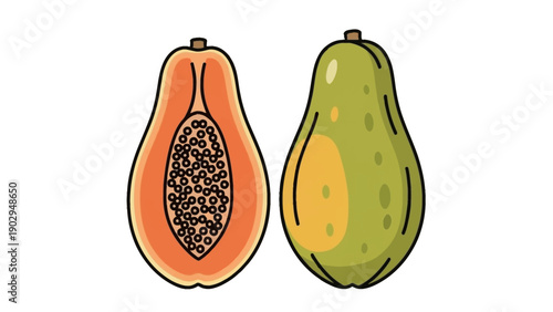 Delicious fresh whole and half cut papaya fruit illustration on a white background tropical