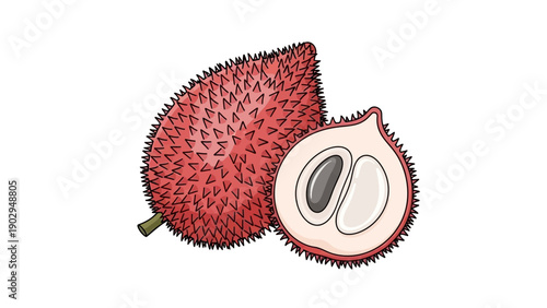 Vibrant cartoon illustration of a whole and halved exotic gac fruit with seeds on a white background
