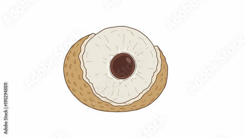 Detailed cartoon illustration of a single peeled longan fruit revealing its delicious translucent