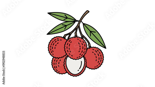 Delicious cartoon lychee fruit cluster with leaves and one peeled fruit revealing its sweet white