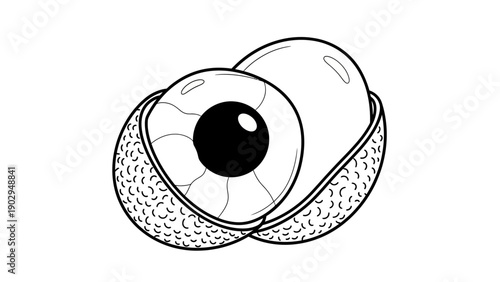 Intriguing black and white line art illustration of a lychee fruit with an eye-like seed