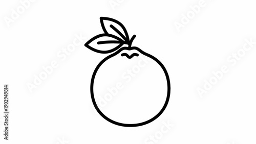 Simple outline illustration of a fresh healthy citrus fruit with leaves, perfect for icon design