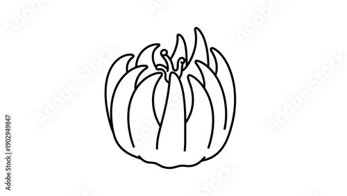 Simple black outline drawing of a beautiful flower bud or sea anemone concept for design