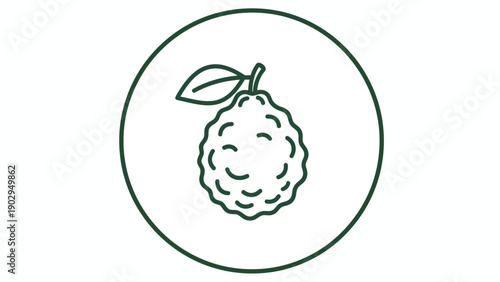 Minimalist line art illustration of a soursop fruit with a leaf in a circular frame