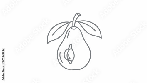 Simple line art illustration of a fresh avocado with a pit and green leaves, representing healthy