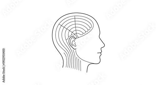 Abstract representation of human head with internal concentric circles illustrating brain activity thought process and cognitive function