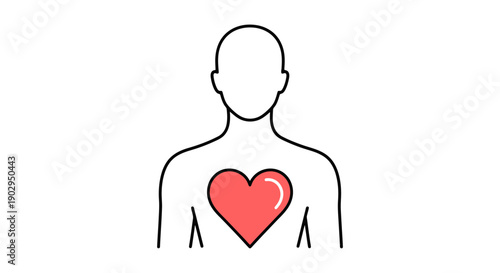 Human silhouette with red heart shape representing love emotion and healthy cardiovascular system on a white background