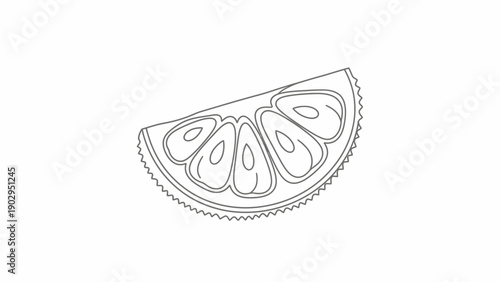 Minimalist monochrome illustration of a fresh citrus fruit slice for healthy food concepts