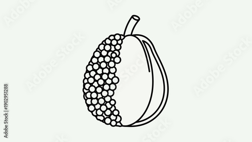 Monochrome line art illustration of a tropical fruit design element or coloring page