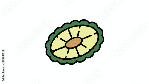Cartoon style green fruit or vegetable cross-section illustration with scalloped edge and central