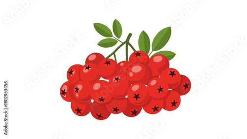 Vibrant red berries illustration with green leaves a simple and appealing graphic design element