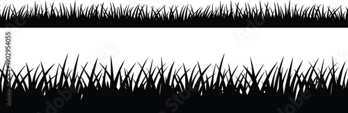 Two Rows Of Black Silhouette Grass Blades Against A White Background nature green