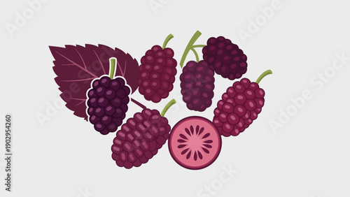 Vibrant and healthy purple mulberries with a leaf and cross-section illustration for fresh fruit