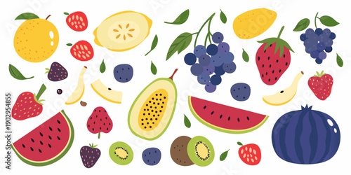 Colorful illustration of various fruits including berries citrus and melons