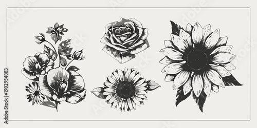 Black and white botanical illustration featuring roses sunflowers and anemones