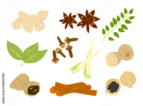 Cooking Ingredients Herbs and Spices Illustration Collection