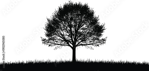 A solitary tree silhouette against a white background with grassy foreground