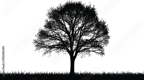 A lone tree silhouette against a white background with grass