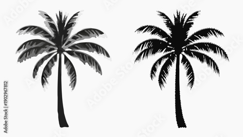 Stunning black palm trees illustration for tropical designs