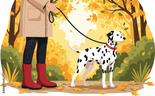 Woman walking Dalmatian dog through vibrant autumn foliage on a crisp fall day