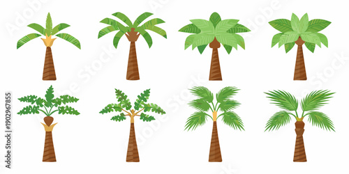 Collection of brightly colored cartoon style palm tree illustrations