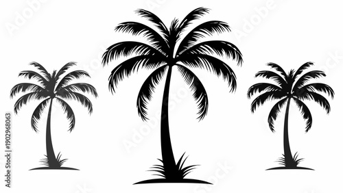 Silhouettes of palm trees against a clear sky
