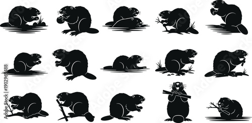 Beaver silhouette illustration set showing various poses isolated on white background, cartoon wildlife rodent characters for nature design, education, branding, and vector projects