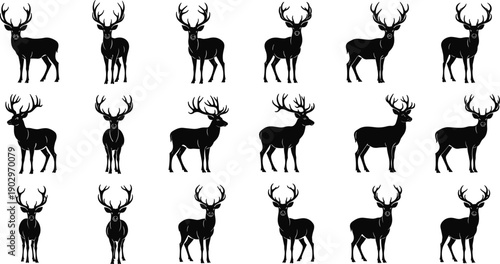 Deer silhouette illustration set showing multiple stag standing poses isolated on white background, black vector wildlife animal collection for hunting, nature, and graphic design projects