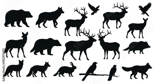 Wildlife Silhouettes: A striking collection of diverse animal silhouettes, capturing the essence of the wild. It's a tribute to nature's diversity.