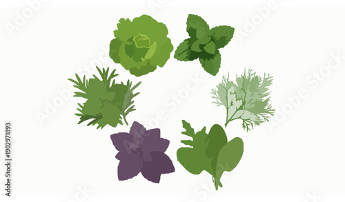 Fresh kitchen herb garden vegetables in circular 3D realistic vector illustration isolated on white