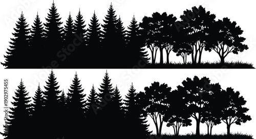 Forest and tree silhouettes landscape isolated on white background, black vector woodland scene featuring pine, fir and deciduous trees for nature design use