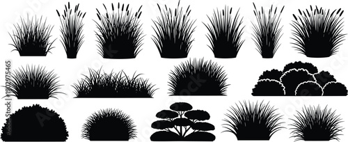 Grass and bush silhouette illustration set featuring meadow plants, reeds and shrubs isolated on white background, black vector landscape foliage collection for nature design