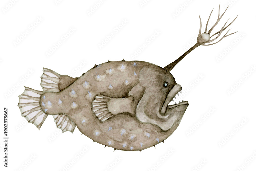 Fototapeta premium チョウチンアンコウ アンコウ 深海魚 深海生物 水彩 イラスト
