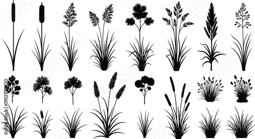 Grass and reed plant silhouette illustration set isolated on white background, black vector meadow foliage collection for landscaping, wetland, nature, and graphic design projects