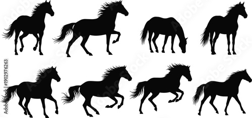 Running and standing horse silhouette collection showing dynamic equine poses, black animal vector illustration set ideal for logos, ranch branding, western themes, wildlife graphics, and design