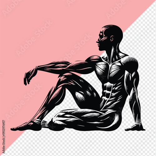 illustration of a muscular male figure detailed musculature in a seated pose perfect for fitness and medical concepts isolated on white background