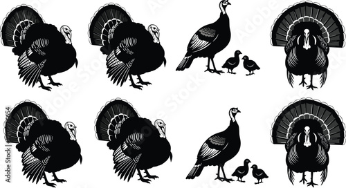 Turkey silhouette illustration set showing male and female birds with chicks isolated on white background, black vector farm and wildlife poultry collection for design use
