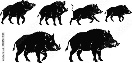 Wild boar silhouette illustration set showing running and walking poses isolated on white background, black vector forest wildlife animal collection for hunting and nature design