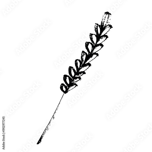 Hand drawn cereal wheat oat rye barley rice ears spikelet clipart Organic wheat bread agriculture farming harvest healthy food Single element for print packaging label design decor