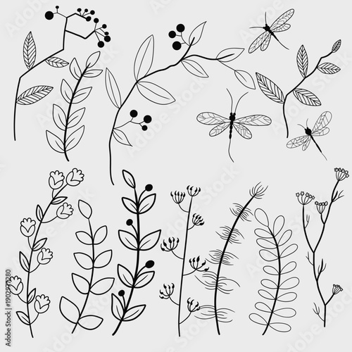 Hand Drawn Minimalist Botanical Foliage and Dragonfly Line Art Collection